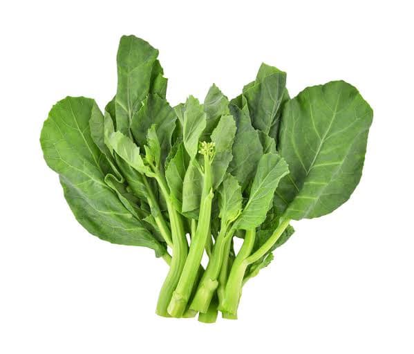 Chinese Kale ( Kailan )