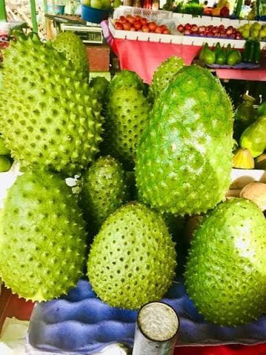 Soursop Graviola
