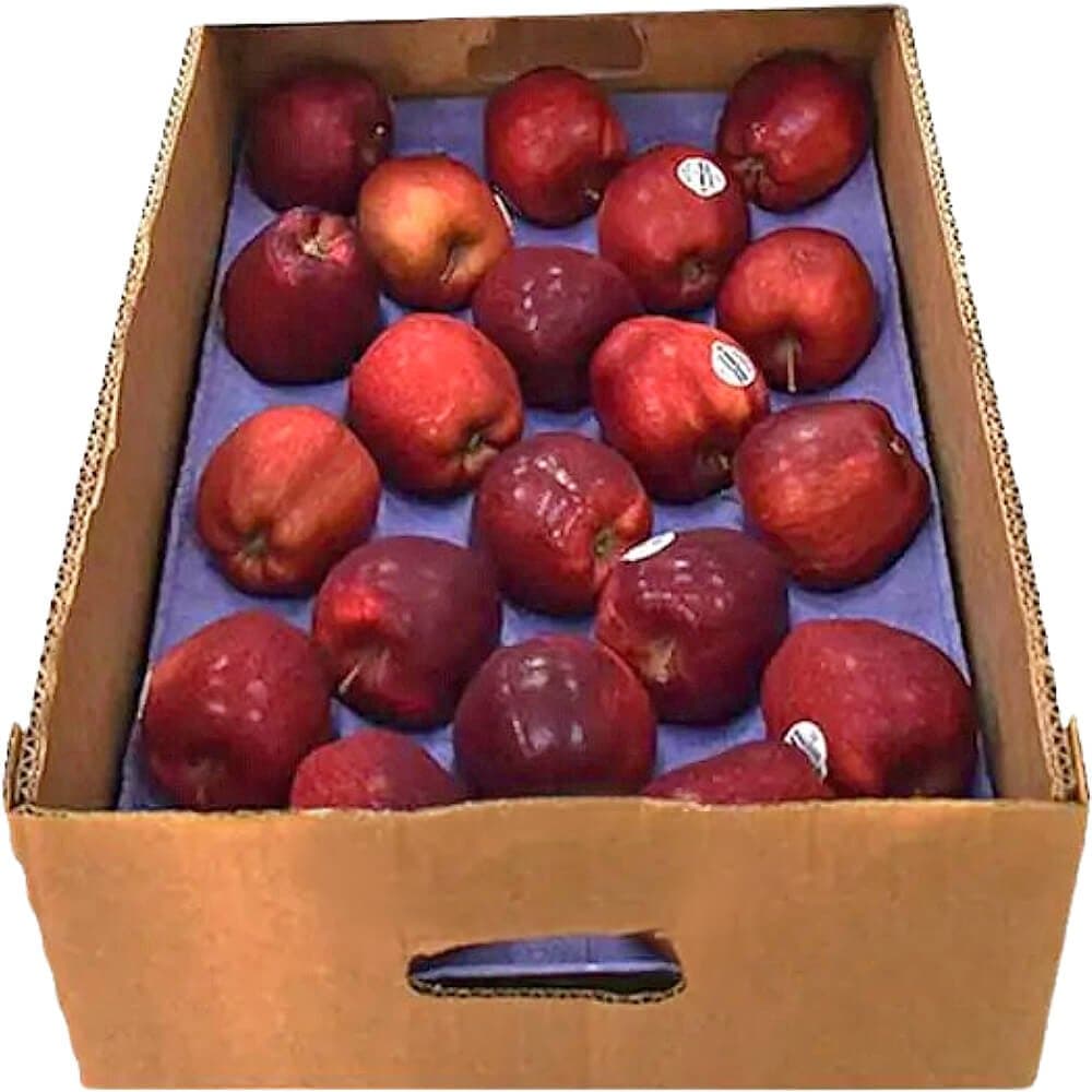 Apple Red Box USA