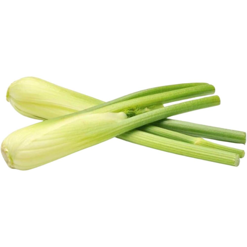 Baby Fennel