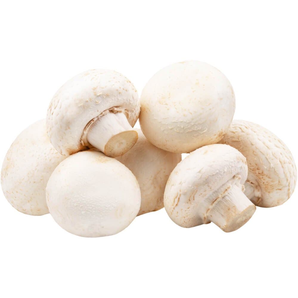 Baby White Mushroom