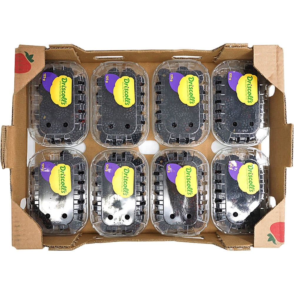 Blackberry Box