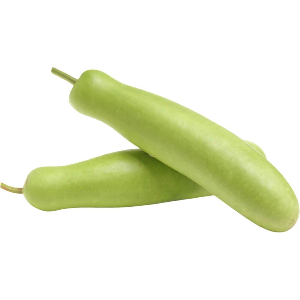 Bottle Gourd