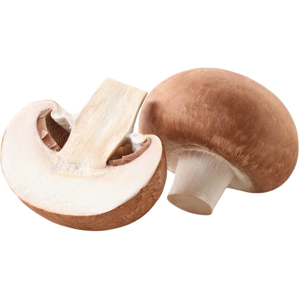 Brown Mushroom