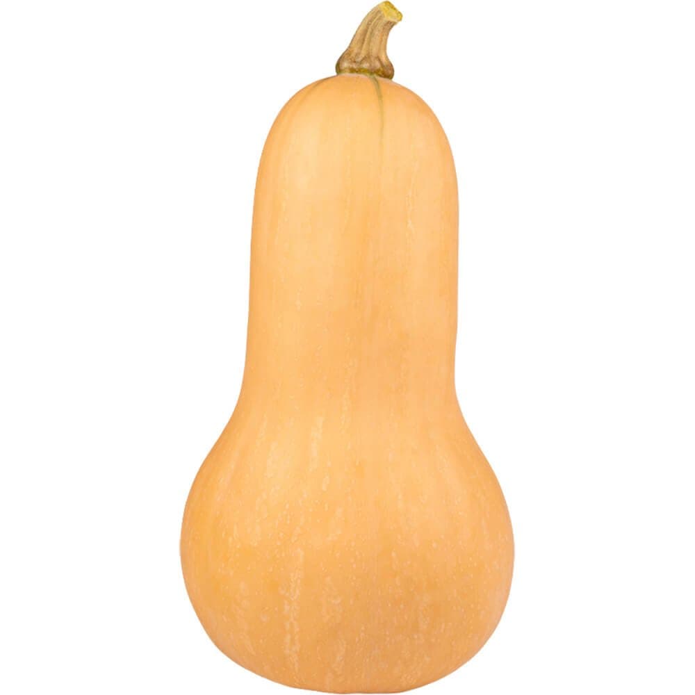 Butternut Pumpkin