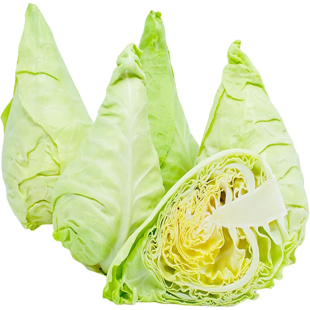 Cabbage Spring Holland