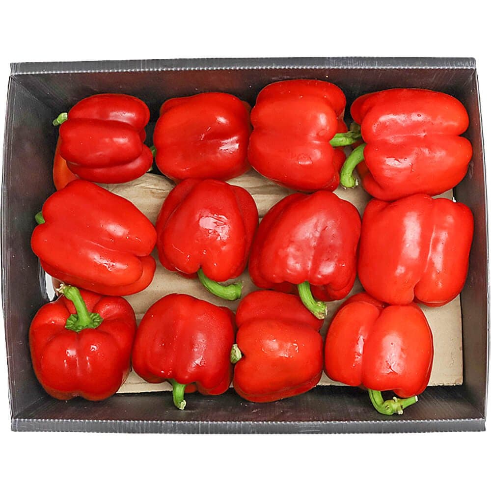 Capsicum Red Box