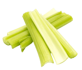 Celery Stick Sanitized