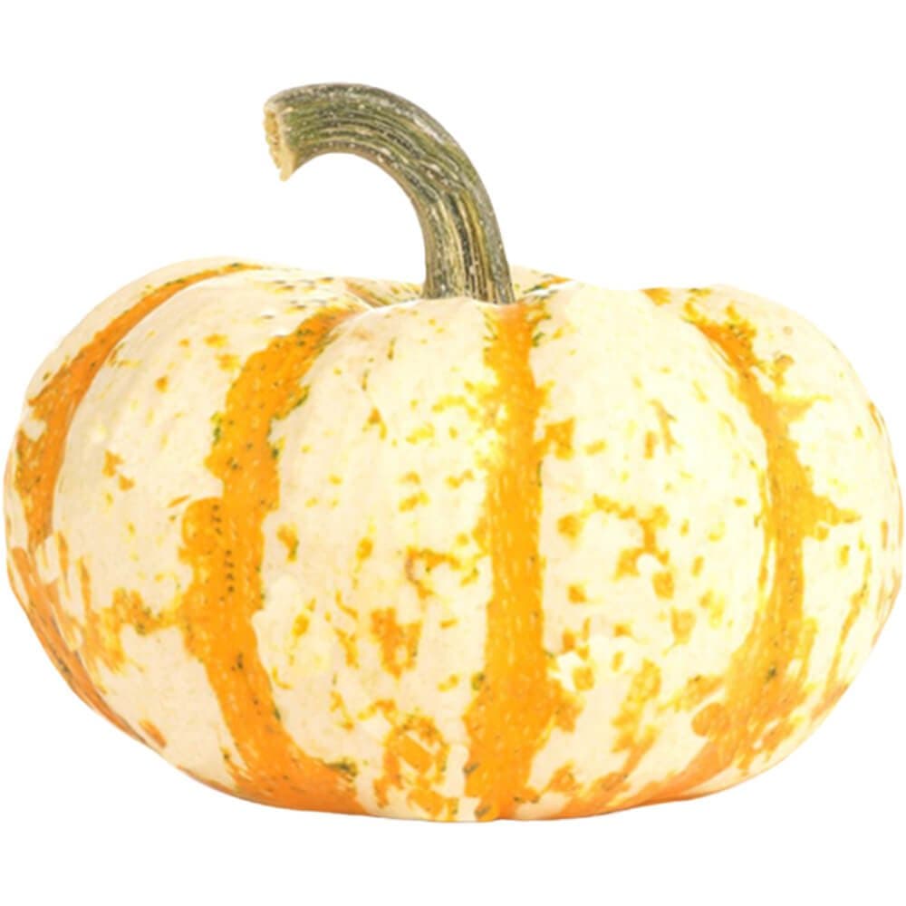 LÃ­l Tiger Pumpkin Halloween