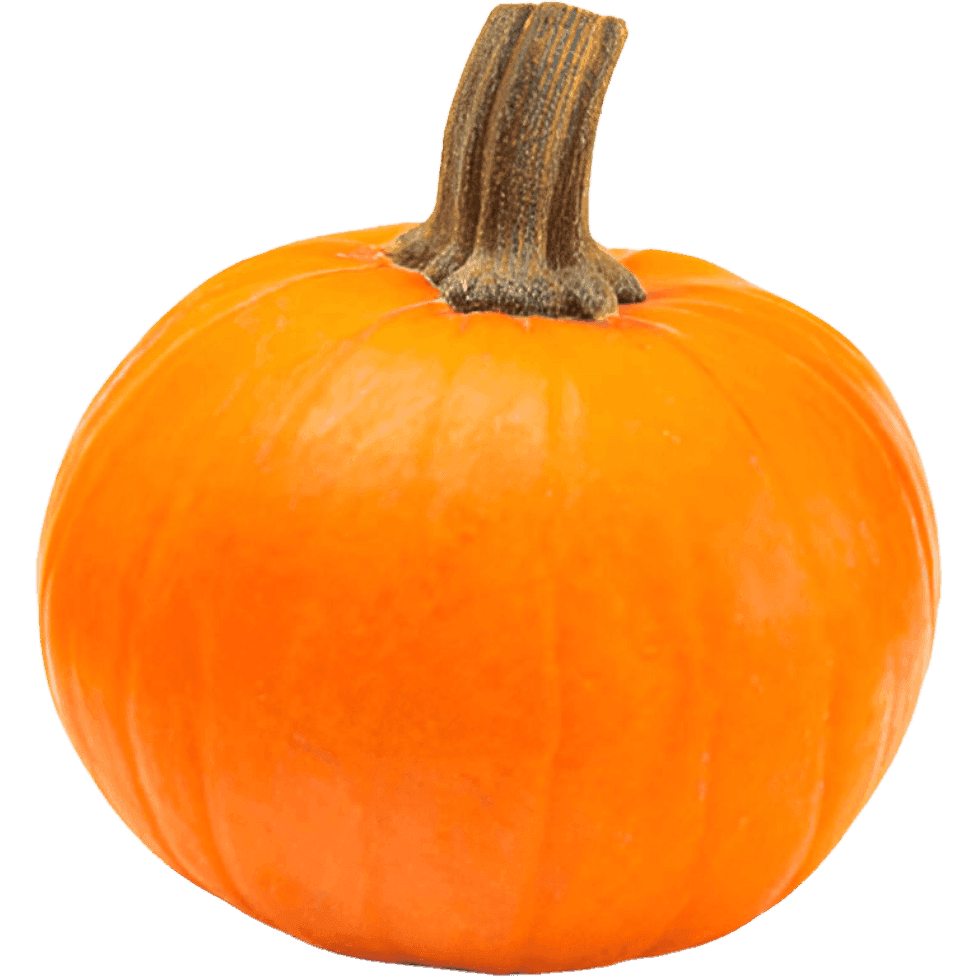 Wee-be-little Pumpkin