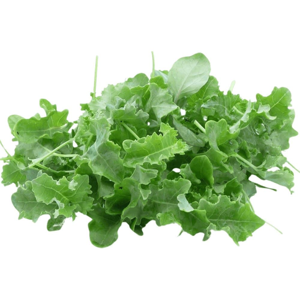 Baby Kale UAE