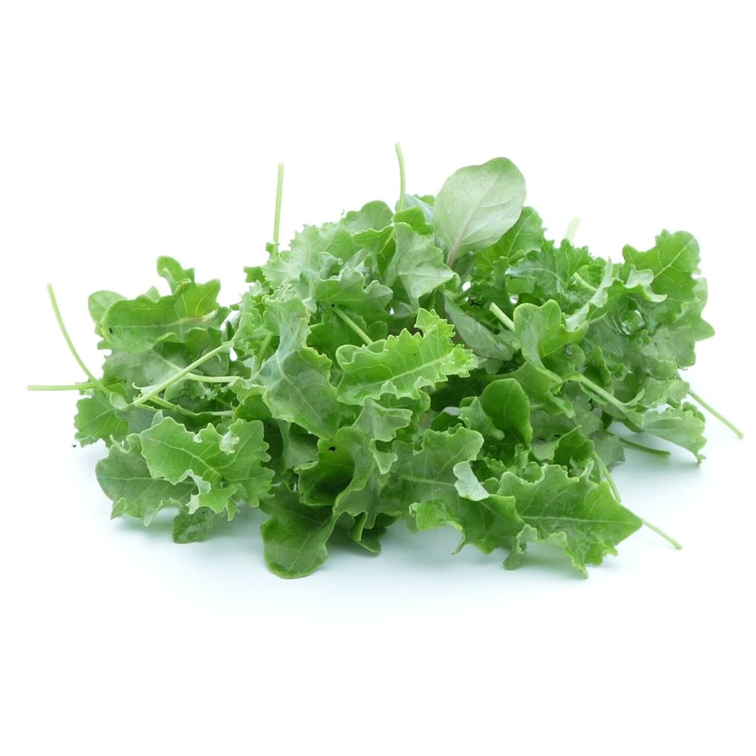 Baby Kale USA