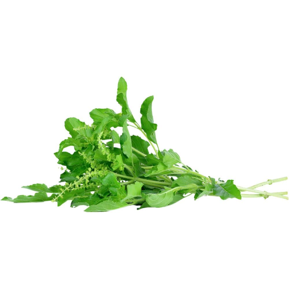 Basil Hot