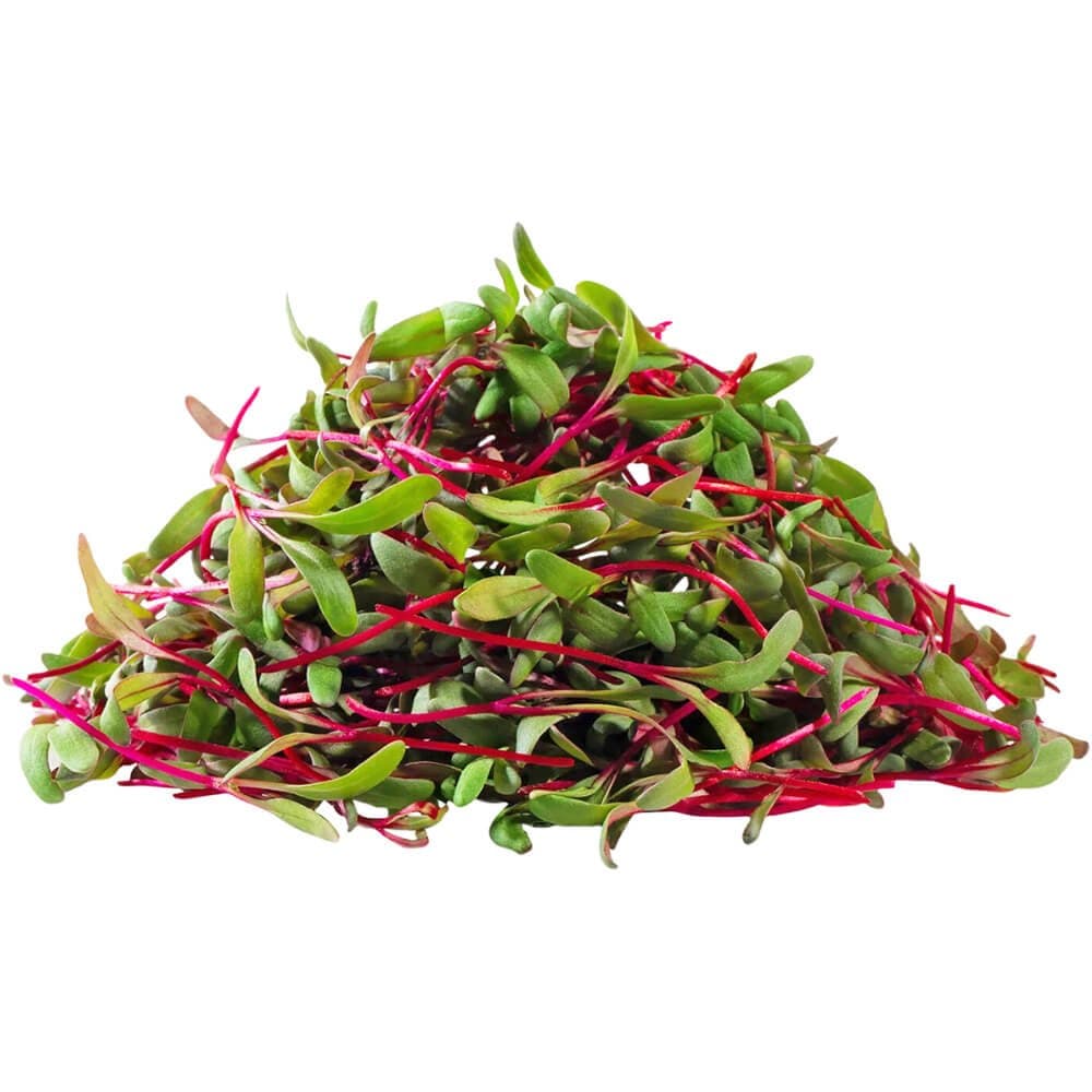 Beetroot â€“ Microgreen Cut