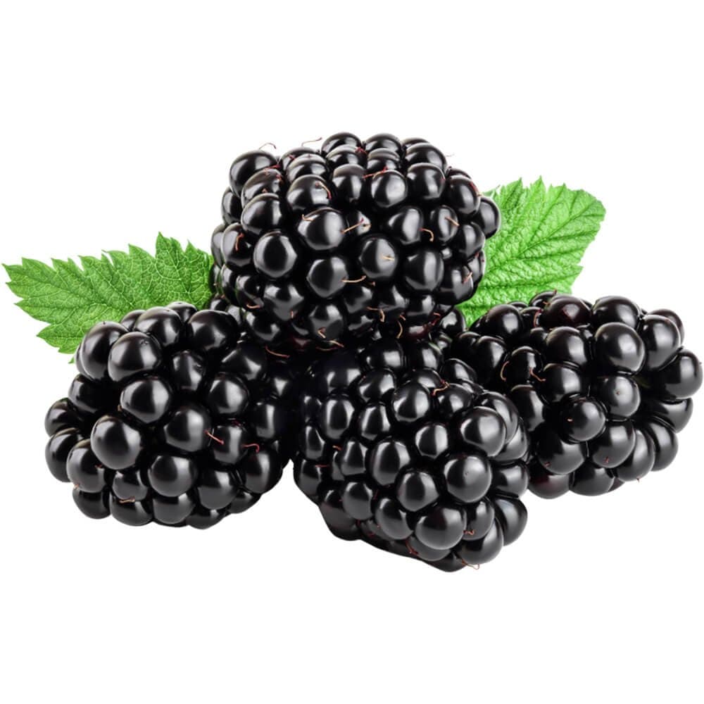BERRIES BLACKBERRY