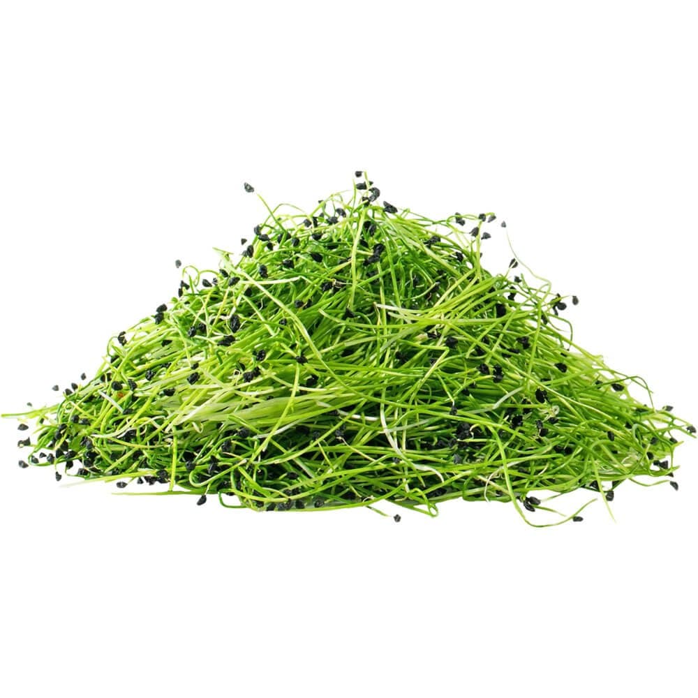 Chives â€“ Microgreen Cut