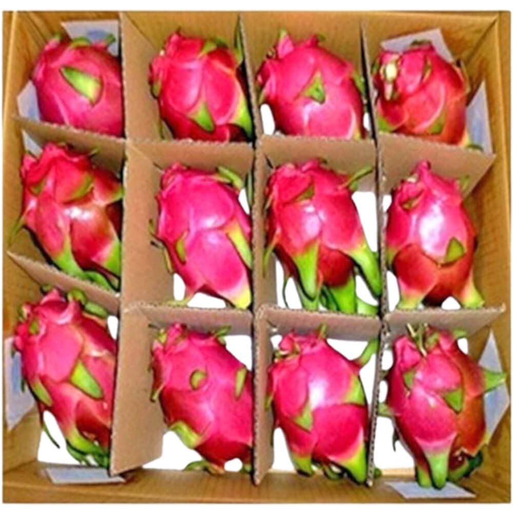 DRAGON FRUIT