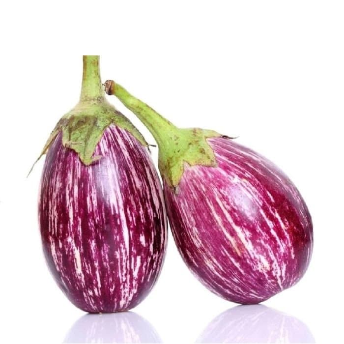 EGGPLANT BABY ROUND