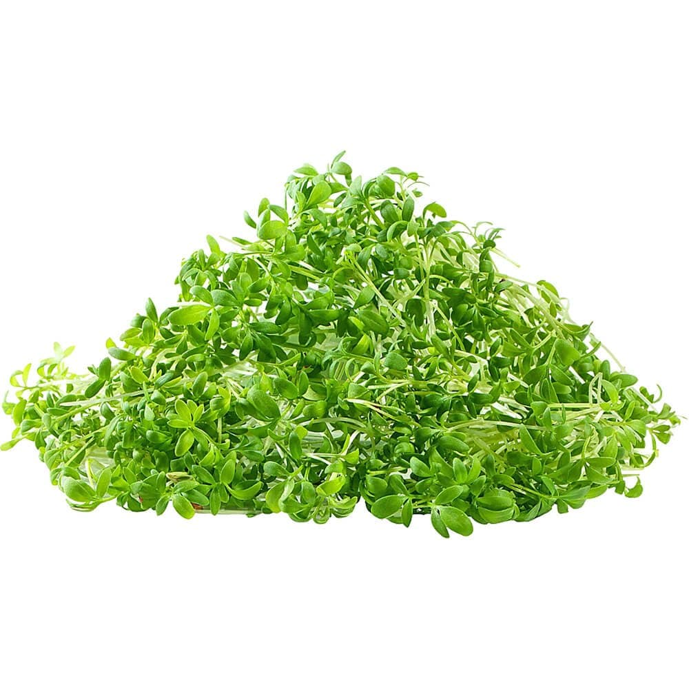 Garden Cress â€“ Microgreen Cut