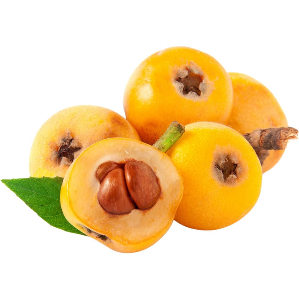 Loquat â€“ Japanese Plum (Lebanon)