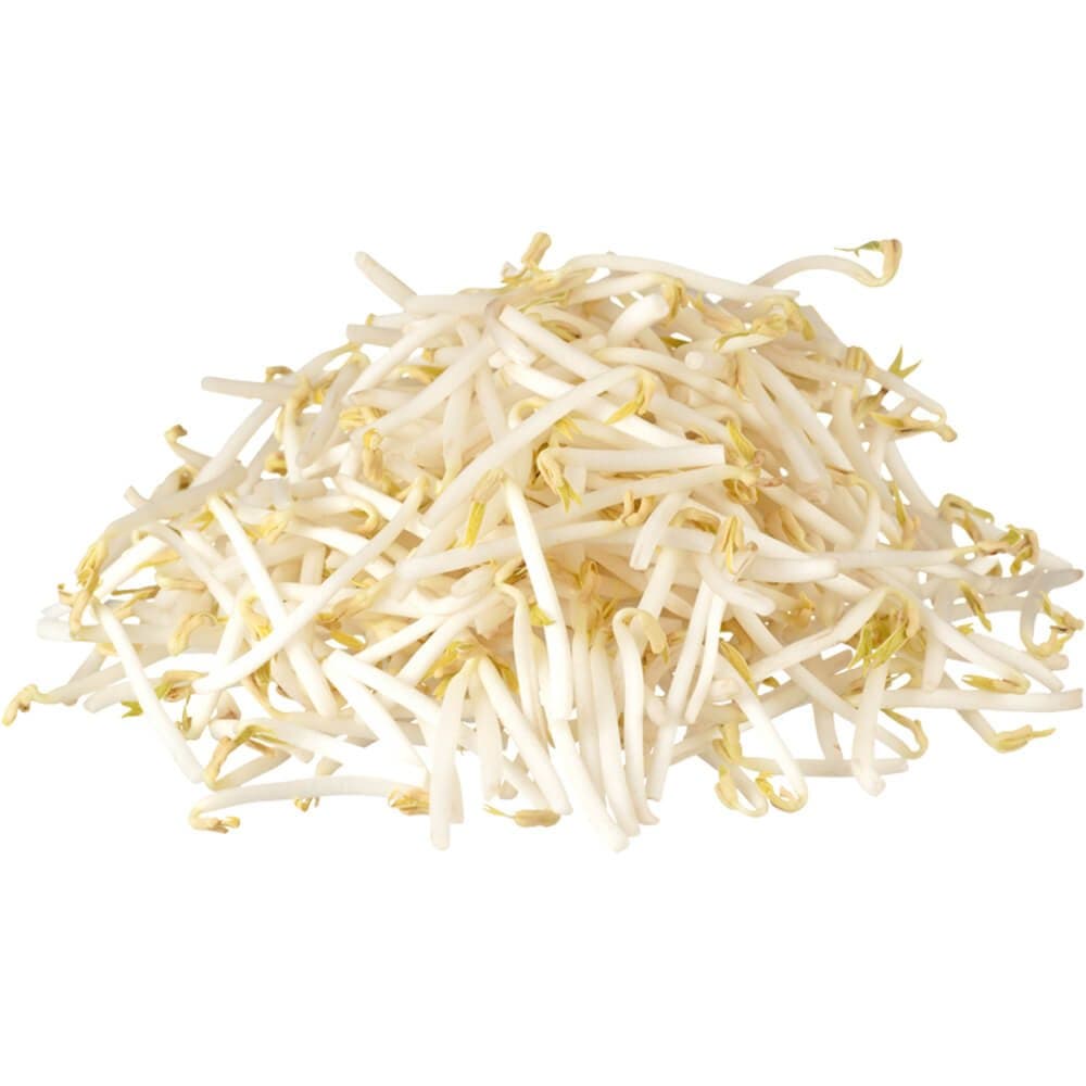 Bean Sprout