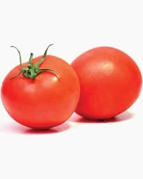 Tomato