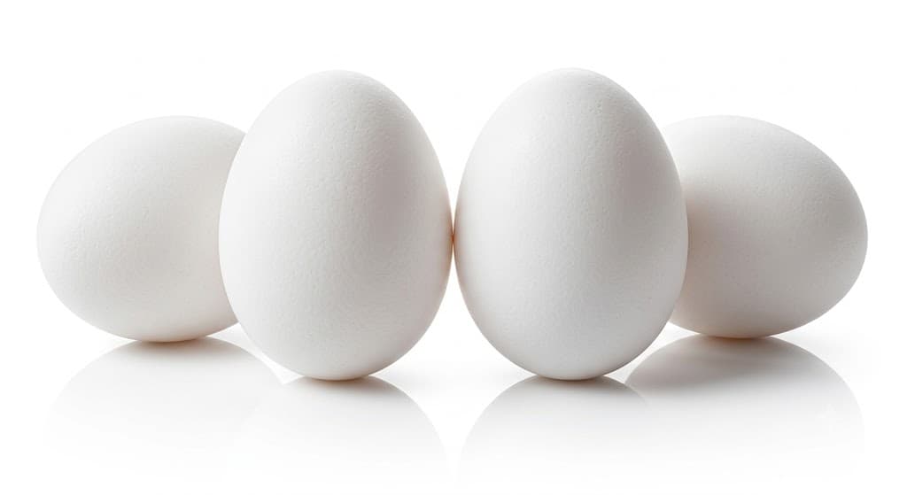 Egg White ( Wholesale )